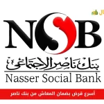 أسرع قرض بضمان المعاش من بنك ناصر