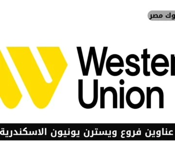 فروع ويسترن يونيون الاسكندرية