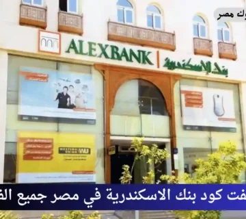 سويفت كود بنك الاسكندرية