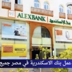 مواعيد عمل بنك الاسكندرية