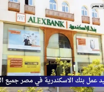 مواعيد عمل بنك الاسكندرية