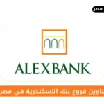 فروع بنك الاسكندرية