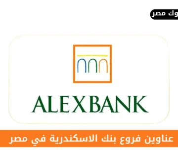 فروع بنك الاسكندرية
