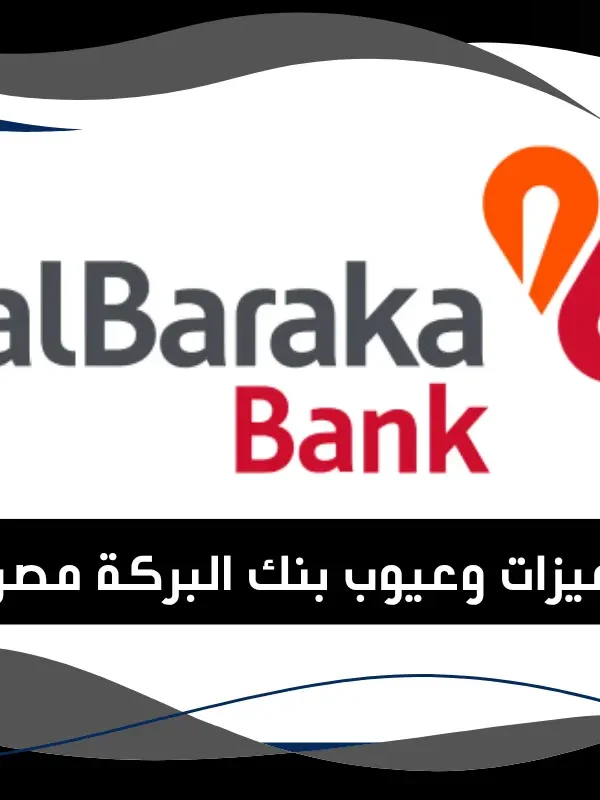 مميزات وعيوب بنك البركة مصر